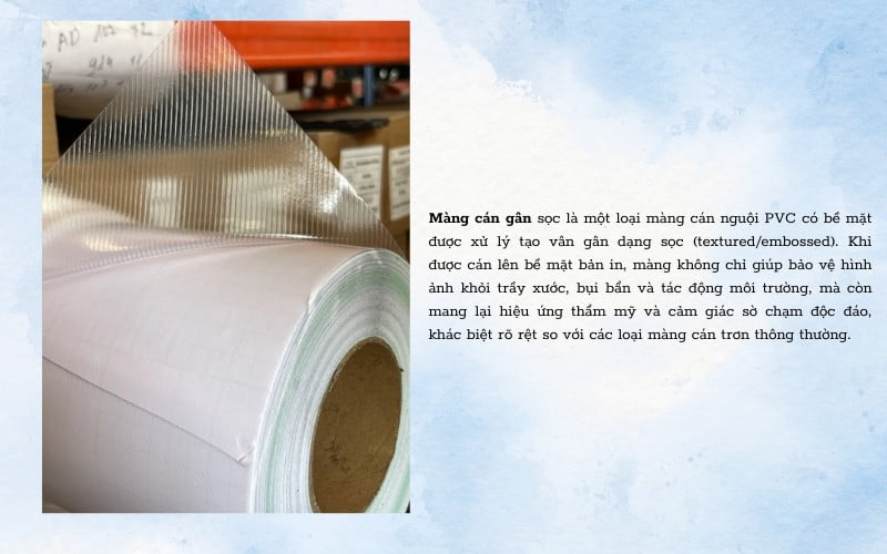 Màng cán gân sọc là gì? 